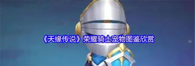 《天缘传说》荣耀骑士宠物图鉴欣赏