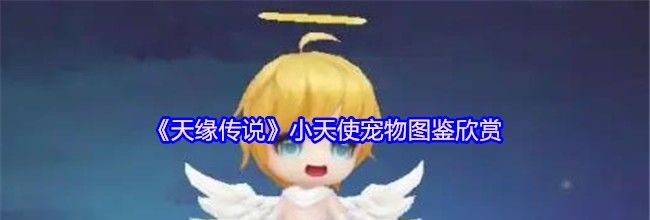 《天缘传说》小天使宠物图鉴欣赏