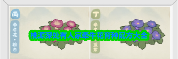 《桃源深处有人家》牵牛花育种配方大全