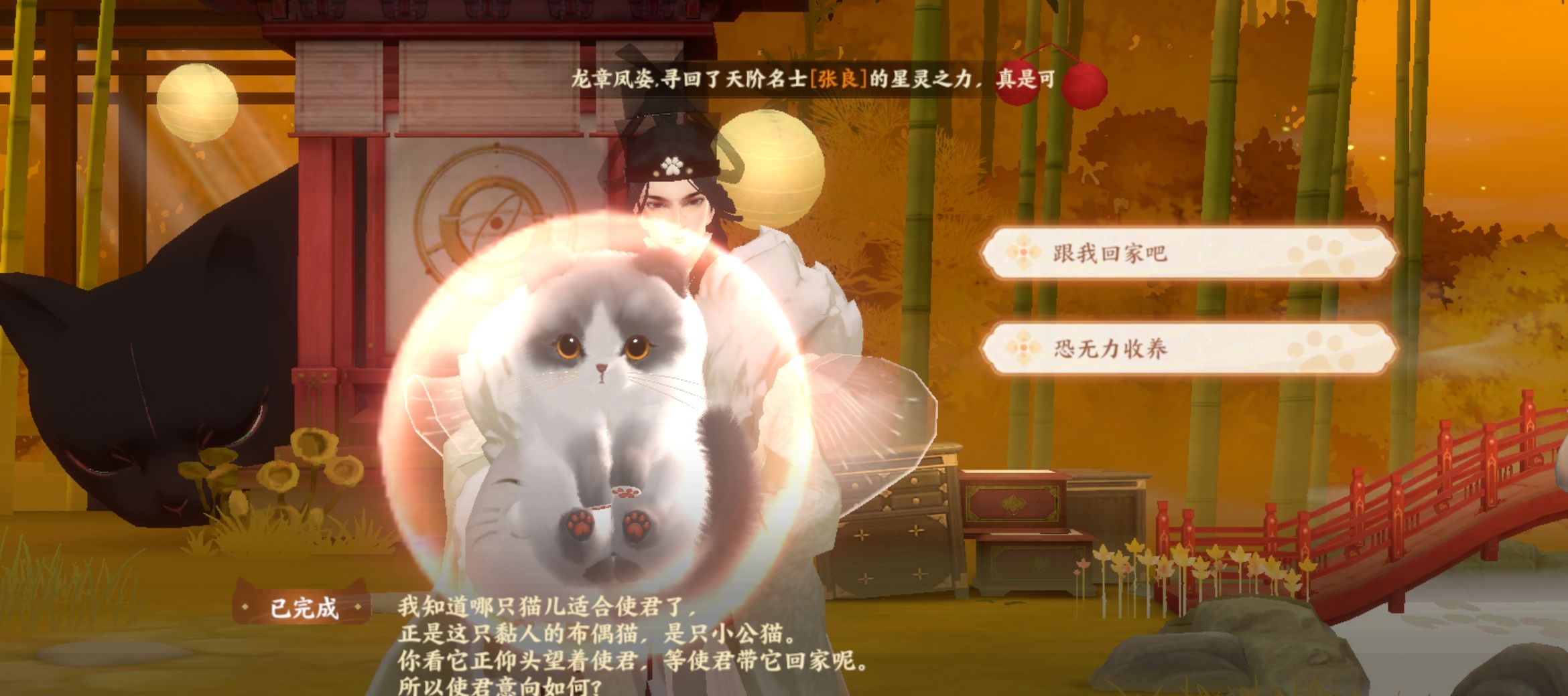 《忘川风华录》喵居玩法介绍