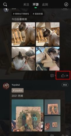 《我岛》表态方法介绍