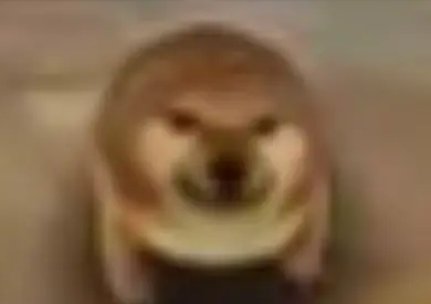 我的刀盾表情包图片大全