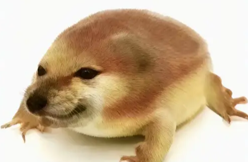 我的刀盾表情包图片大全