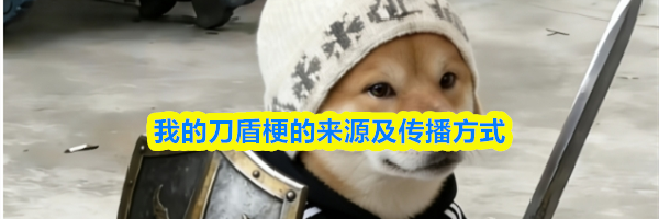 我的刀盾梗的来源及传播方式