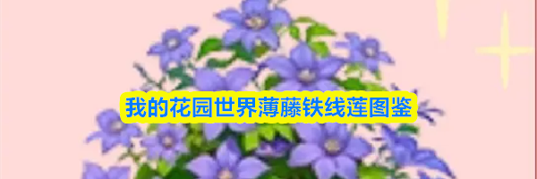 我的花园世界薄藤铁线莲图鉴