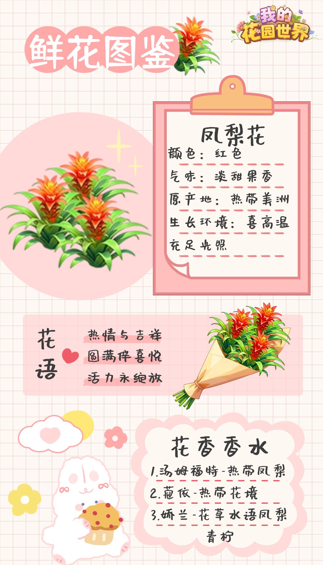 我的花园世界凤梨花图鉴