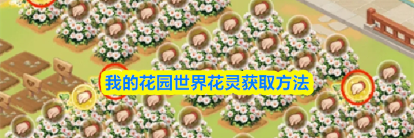 我的花园世界花灵获取方法