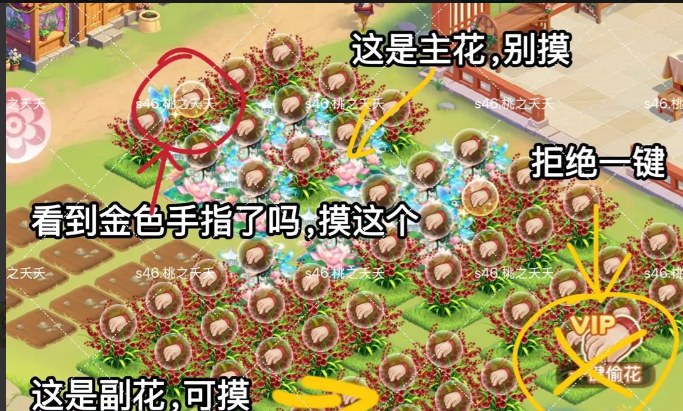 《我的花园世界》花灵召唤攻略