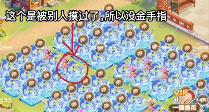 《我的花园世界》花灵召唤攻略