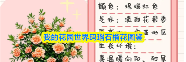 我的花园世界玛瑙石榴花图鉴