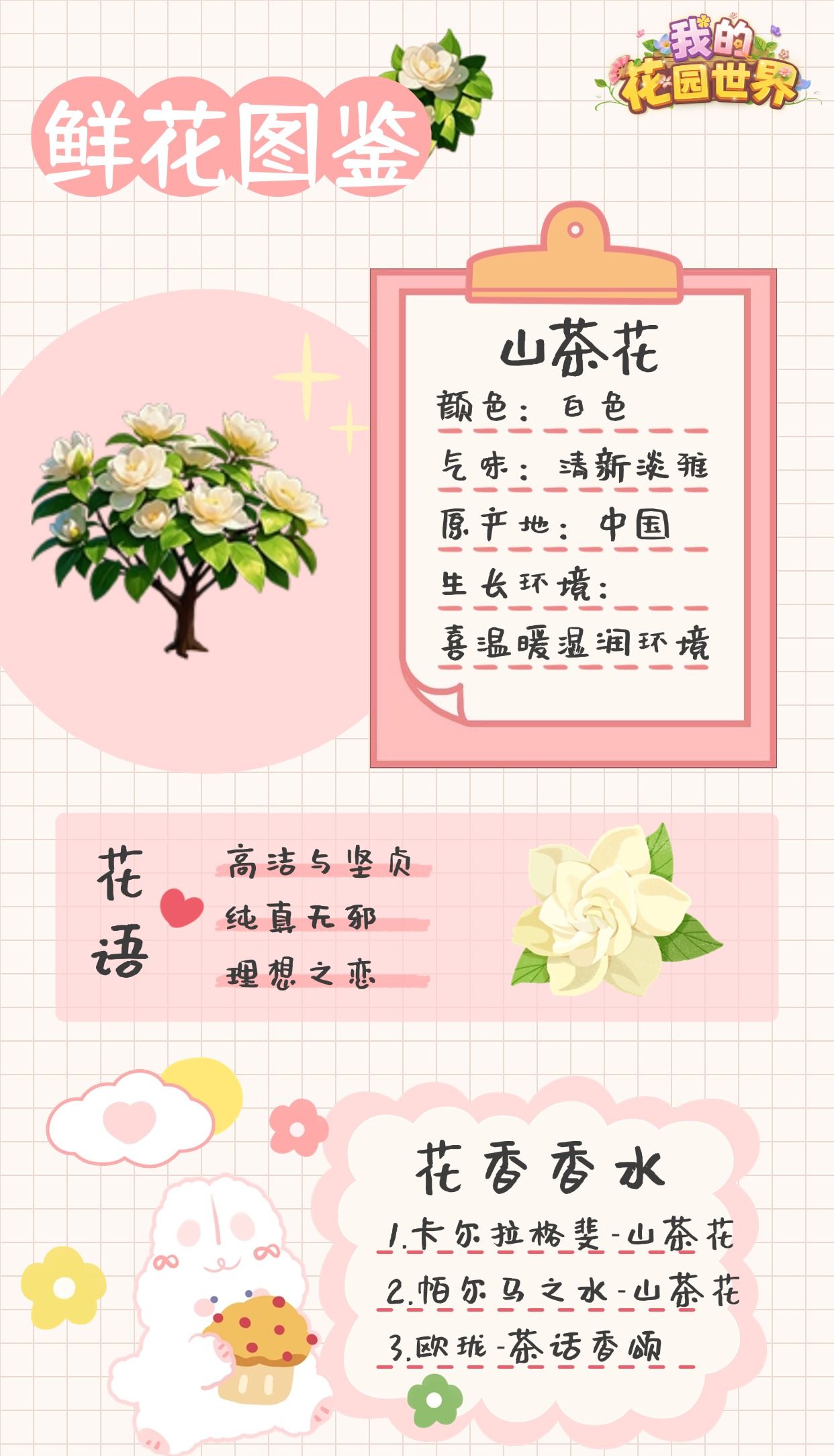 我的花园世界山茶花图鉴