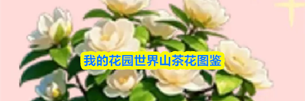 我的花园世界山茶花图鉴