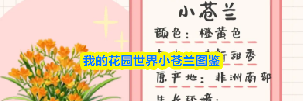 我的花园世界小苍兰图鉴