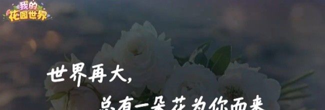 我的花园世界新手入门攻略
