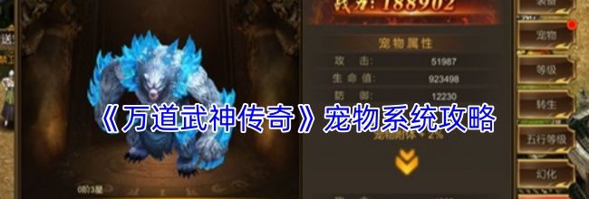 《万道武神传奇》宠物系统攻略