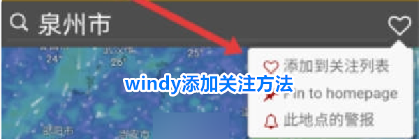 windy添加关注方法