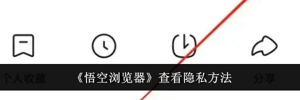 《悟空浏览器》查看隐私方法