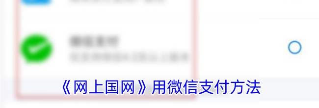 《网上国网》用微信支付方法