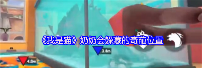 《我是猫》奶奶会躲藏的奇葩位置