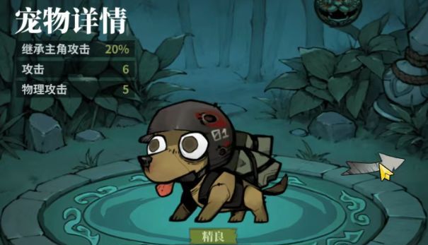 无限轮回宠物系统指南