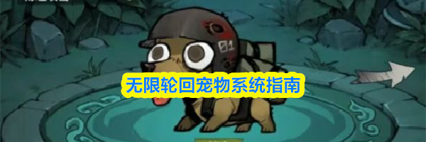 无限轮回宠物系统指南