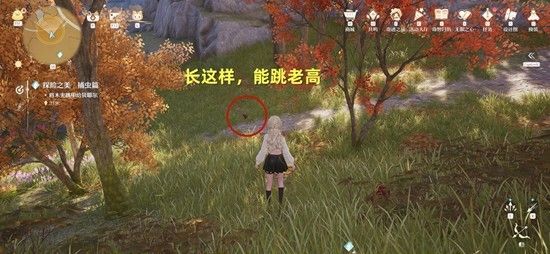 《无限暖暖》探险之美捕虫篇任务攻略