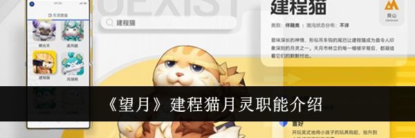 《望月》建程猫月灵职能介绍