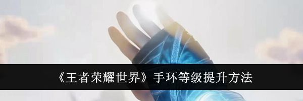 《王者荣耀世界》手环等级提升方法