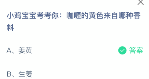 小鸡宝宝考考你：咖喱的黄色来自哪种香料