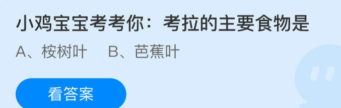 小鸡宝宝考考你考拉的主要食物是