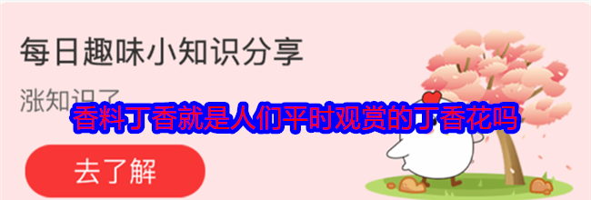 香料丁香就是人们平时观赏的丁香花吗