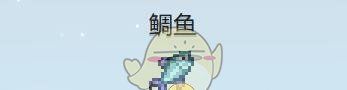 《星露谷物语》鲷鱼收集攻略