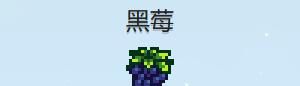 《星露谷物语》黑莓脆皮饼制作方法