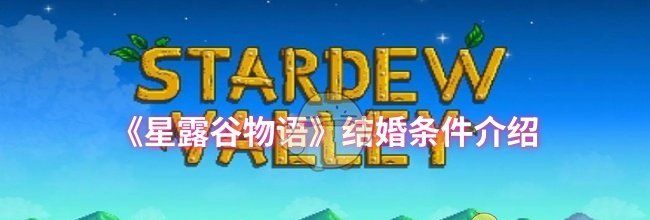 《星露谷物语》结婚条件介绍