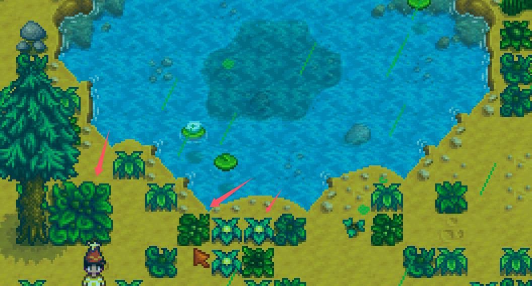 《星露谷物语》绿雨天攻略