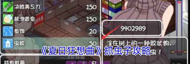 《夏日狂想曲》抓虫子攻略