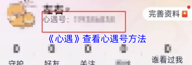 《心遇》查看心遇号方法