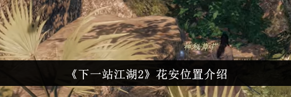 《下一站江湖2》花安位置介绍