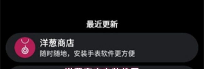 洋葱商店app安装教程