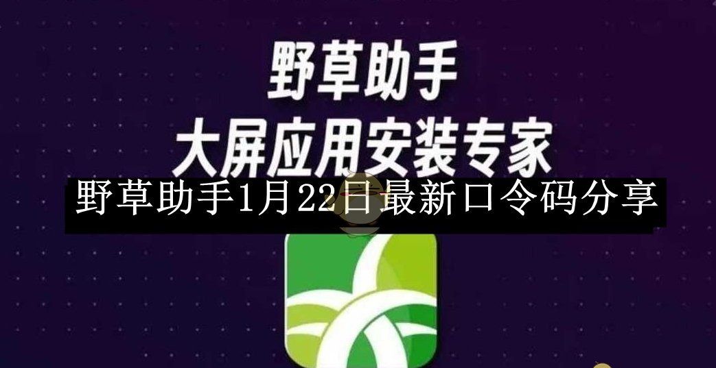《野草助手》1月22日最新口令码分享