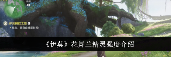 《伊莫》花舞兰精灵强度介绍