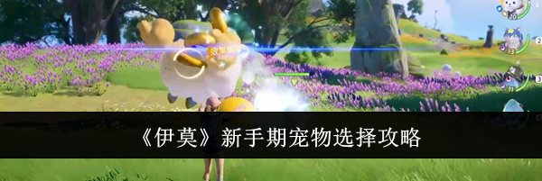 《伊莫》新手期宠物选择攻略