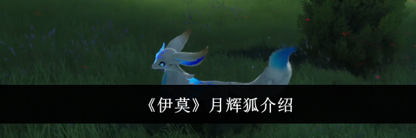 《伊莫》月辉狐介绍