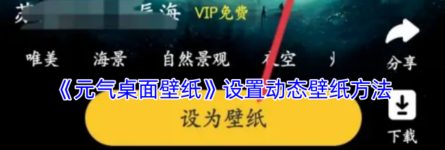 《元气桌面壁纸》设置动态壁纸方法