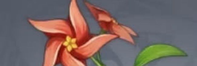 《原神》风车菊获取途径