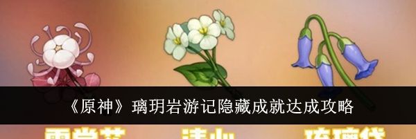 《原神》璃玥岩游记隐藏成就达成攻略