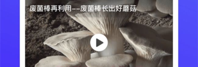 云上智农app功能一览