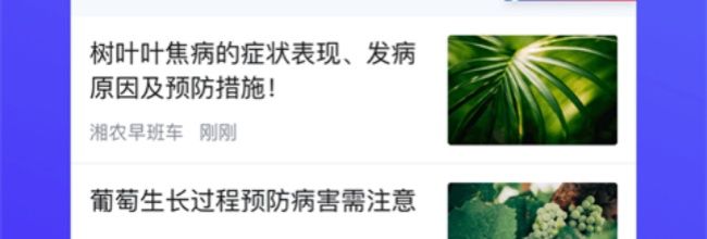 云上智农app农民专项信贷申报教程