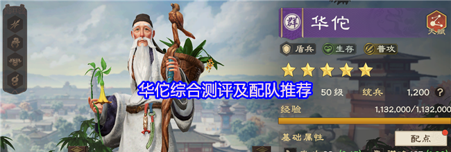 《偃武》华佗综合测评及配队推荐