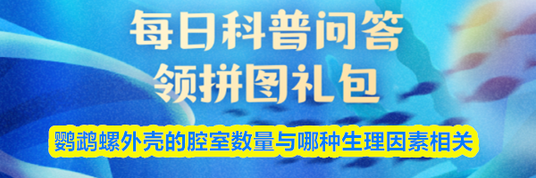 鹦鹉螺外壳的腔室数量与哪种生理因素相关